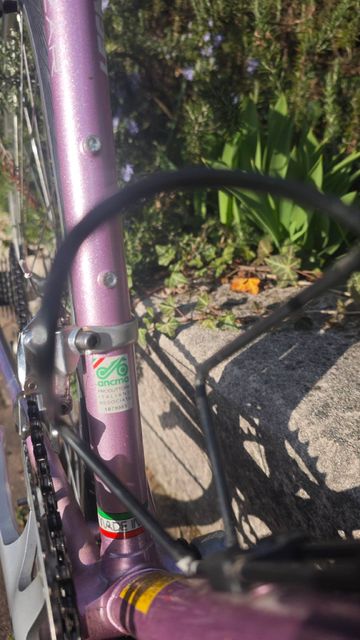 Used Legnano Custom Other Campagnolo 1994 Road & Gravel, Purple — image 7 of 13