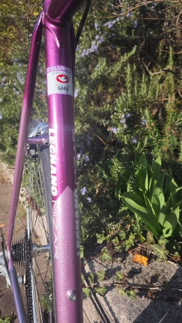 Used Legnano Custom Other Campagnolo 1994 Road & Gravel, Purple — image 8 of 13