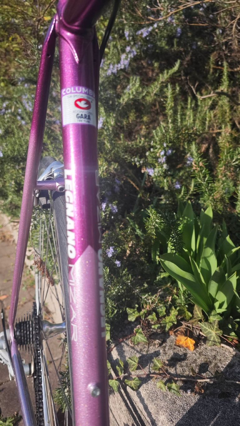 Used Legnano Legnano Custom Other Campagnolo 1994 Road & Gravel — image 8 of 13