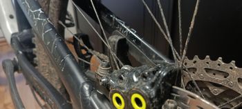 Used Canyon Spectral 29 AL 5 2023 2023 Mountainbike, Black, 29 — image 3 of 6