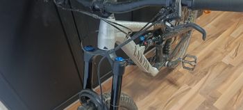 Used Canyon Spectral 29 AL 5 2023 2023 Mountainbike, Black, 29 — image 5 of 6