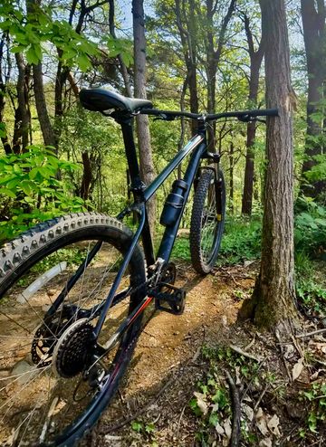 Käytetty Specialized Custom Shimano Acera 2014 MTB