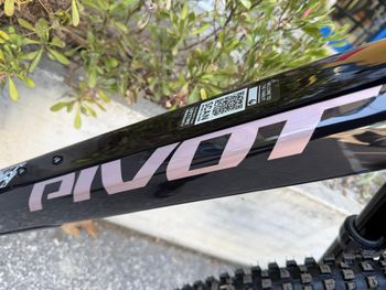 Used Pivot SHUTTLE AMp'd PRO 2027 Taglia XL AVINOX M2s 800wh 2027 Mountainbike, Black — image 11 of 15