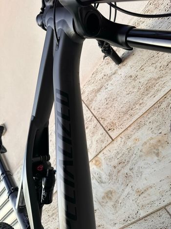 Used Specialized Stumpjumper EVO Comp Alloy 2023 2023 Mountainbike, Light Gray, 29 — image 15 of 21