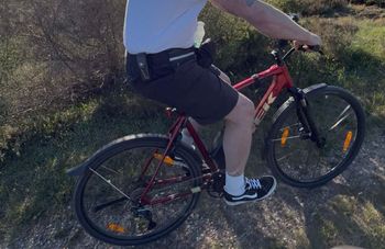 Used Trek Dual Sport 3 Gen 4 2023 2023 Urban, Red — image 2 of 3
