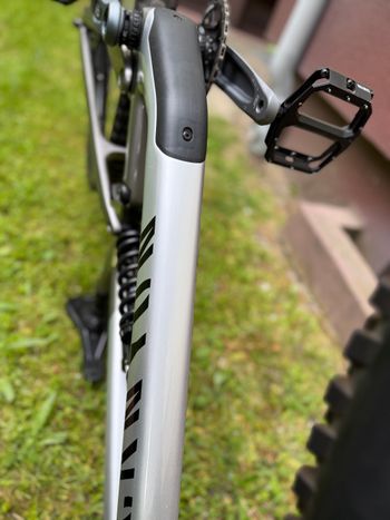 Used Canyon Canyon Spectral CF 8 K.I.S. 2023 Mountainbike — image 11 of 27