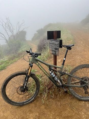 Used Specialized S-Works Stumpjumper LTD 2022 2022 Mountainbike, Green, 29 — image 3 of 4