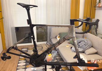Used Seka Seka Custom Frameset 2026 Road & Gravel, Gris claro — image 6 of 7