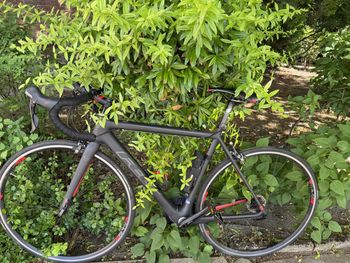 Used Felt FR5 2020 2020 Road & Gravel — image 16 of 16