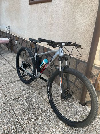 Used Olympia Drake 29 2025 Mountainbike, Light Gray — image 4 of 7
