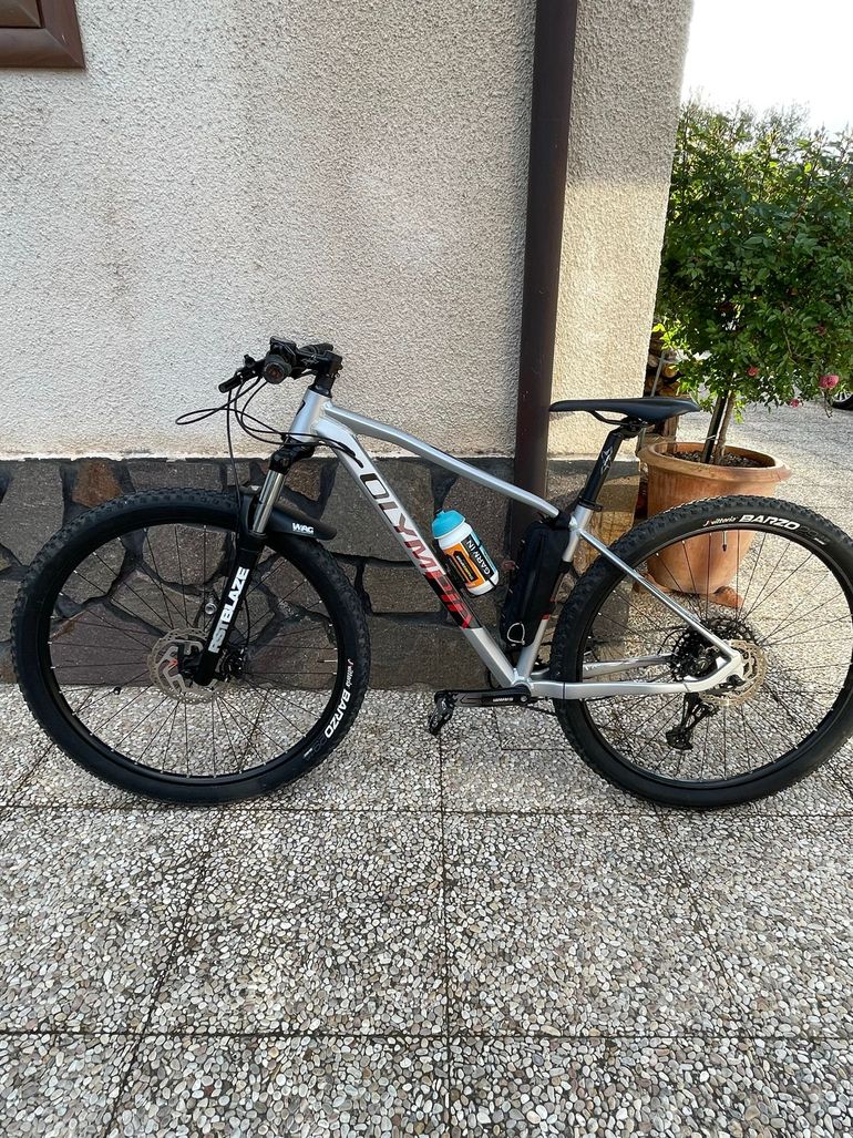 Used Olympia Drake 29 2025 Mountainbike, Light Gray — image 2 of 7