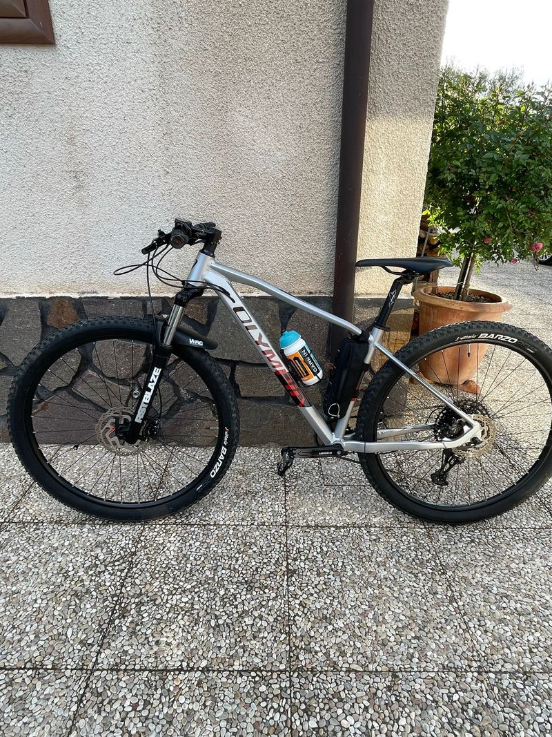Olympia Drake 29 2025 Mountainbike usato, Grigio chiaro — immagine 2 di 7