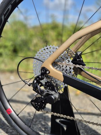 Used Pinarello GREVIL F7 - CAMPAGNOLO EKAR 2023 2023 Road & Gravel, Black — image 2 of 5