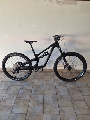 Used Canyon Torque Mullet CF 8 2025 2025 MTB