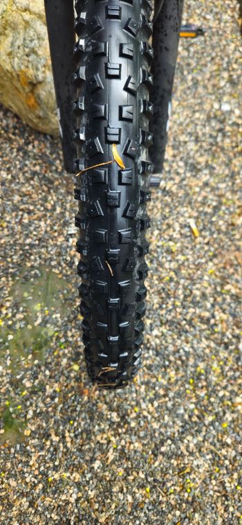 Used yosemite Yosemite Custom Shimano Tourney 2024 Mountainbike, Black — image 9 of 13