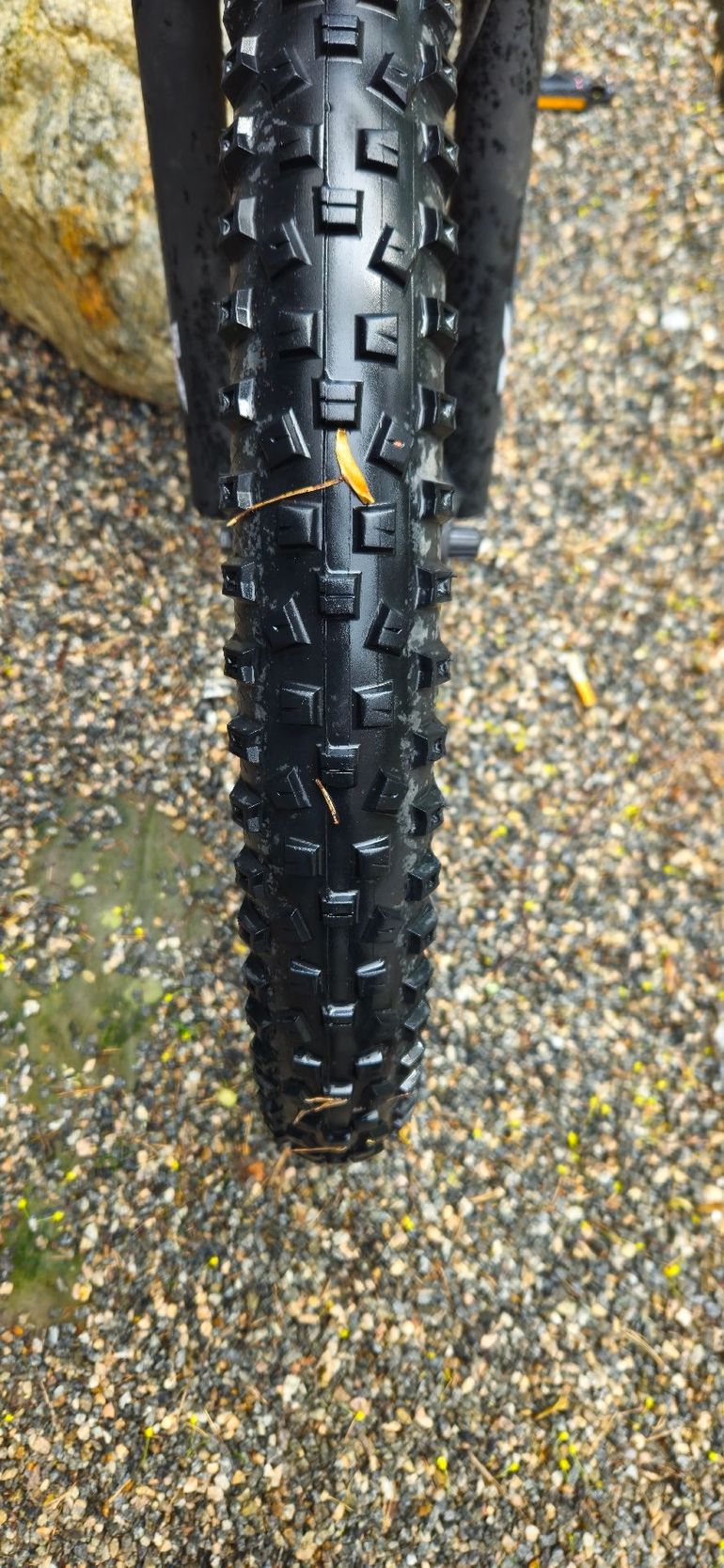 Used yosemite Yosemite Custom Shimano Tourney 2024 Mountainbike, Black — image 9 of 13
