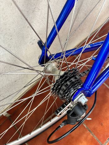 Used Specialized Allez Double Steel 2010 2010 Road & Gravel — image 4 of 5