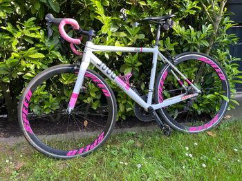 Used Rose Pro sl Shimano 105 2018 Road & Gravel, Bianco — image 2 of 3