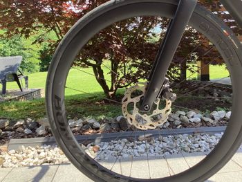 Used Trek Domane+ SLR 6 2024 2024 Road & Gravel, Black — image 6 of 6