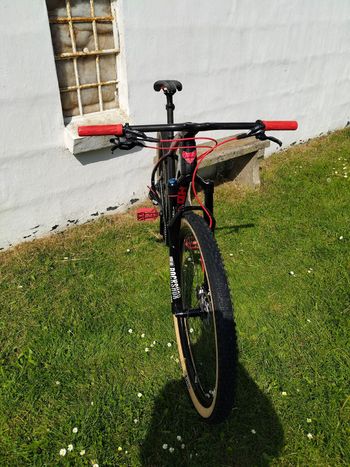 Used Trifox Carbon MTB Frame SDY21 2024 2024 Mountainbike, Nero — image 12 of 13