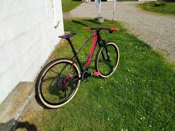 Used Trifox Carbon MTB Frame SDY21 2024 2024 Mountainbike, Nero — image 5 of 13