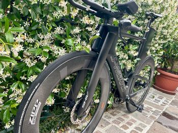 Used Specialized S-Works Shiv Disc 2022 2022 Road & Gravel — image 4 of 8