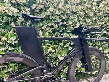 Used Specialized S-Works Shiv Disc 2022 2022 Route & Gravel