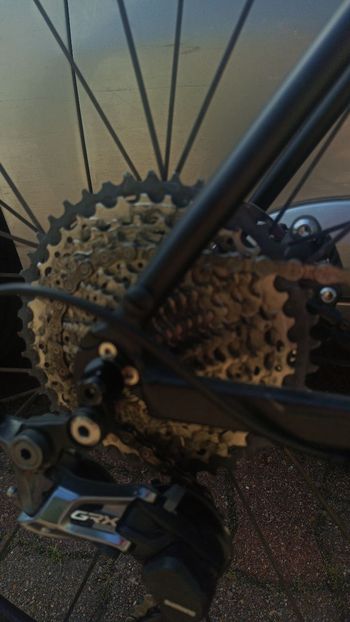 Used Rose ROSE PRO CROSS GRAVEL GRX RX600 2019 Road & Gravel, Black — image 3 of 4