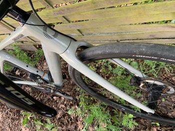 Used Cannondale Synapse Carbon 2 LE 2023 2023 Road & Gravel, Light Gray — image 5 of 9