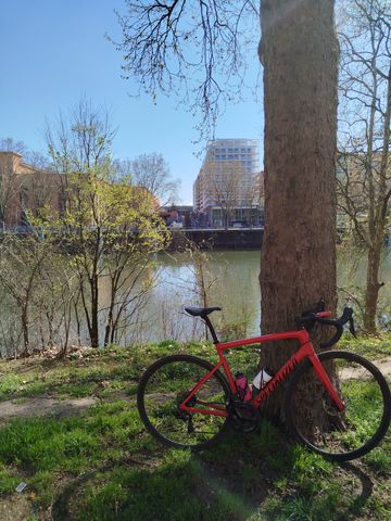 Specialized Sl6 2023 Road & Gravel d'occasion — image 1 sur 4