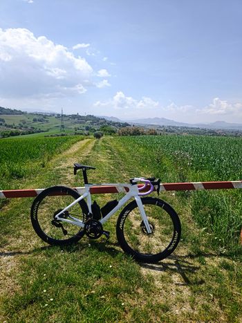 Used Wilier Filante SLR ID2 SHIMANO DURA ACE Di2 R9270 + POWERMETER 2025 2025 Road & Gravel, White — image 3 of 3