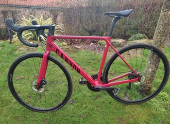 Used Canyon Ultimate CF SL 8 Disc 2023 2023 Racefiets & gravel