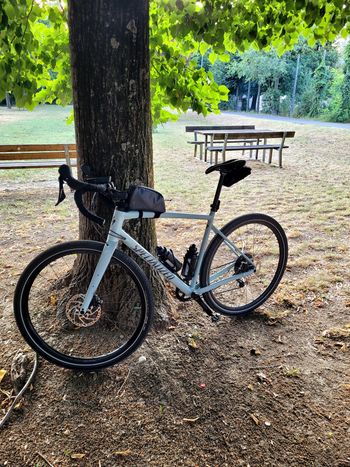 Used Specialized Diverge Comp E5 2021 2021 Corsa & gravel