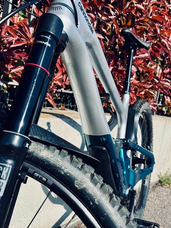 Used Cannondale Cannondale Jekyll 2 2025 Mountainbike, Blue — image 5 of 7