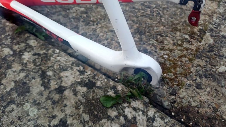 Used CUBE Cube Agree GTC Race (Carbon) Frameset 2012 Road & Gravel, White — image 3 of 9