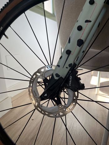 Used Canyon Grizl CF SL 7 1by 2023 2023 Road & Gravel, Grün — image 13 of 14
