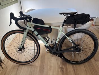 Used Canyon Grizl CF SL 7 1by 2023 2023 Road & Gravel, Grün — image 10 of 14