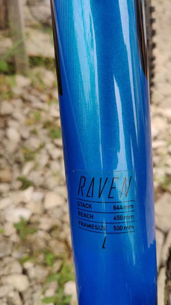 Used Focus RAVEN 8.9 2019 2019 Mountainbike, Blu — image 5 of 9