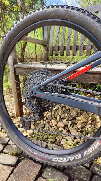 Used Orbea OIZ M20 TR 2020 2020 Mountainbike, Blue — image 3 of 11