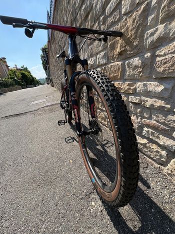 Used Orbea OIZ M LTD 2025 2025 Mountainbike, Black, 29 — image 6 of 9
