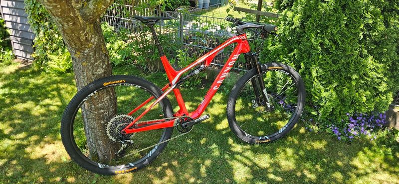 Used Canyon LUX CF SL 8.0 Pro Race 2018 2018 MTB