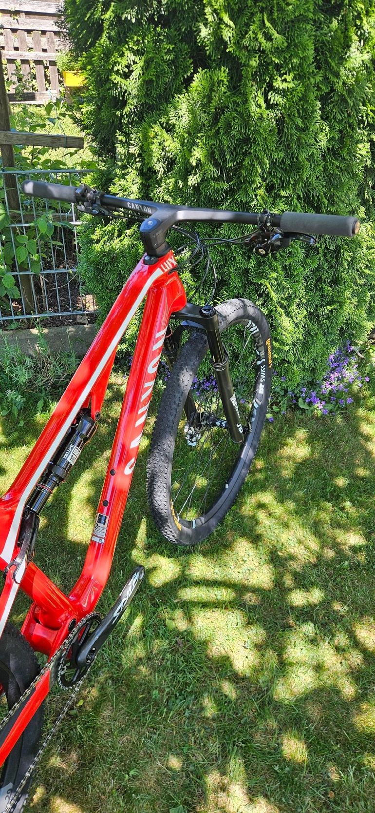 Used Canyon LUX CF SL 8.0 Pro Race 2018 2018 Mountainbike, Red, 29 — image 16 of 17