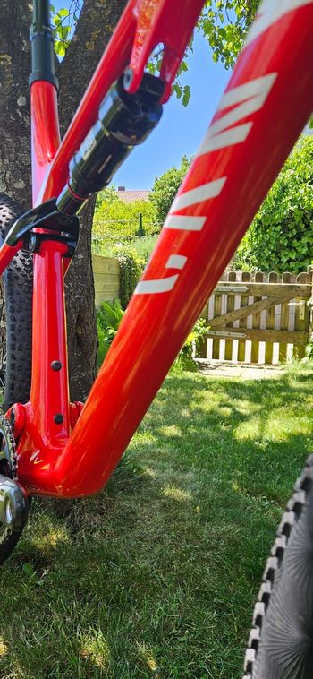 Used Canyon LUX CF SL 8.0 Pro Race 2018 2018 Mountainbike, Red, 29 — image 14 of 17