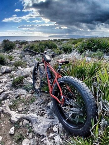 Used Salsa Mukluk Deore 1x 2019 2019 Mountainbike — image 5 of 9