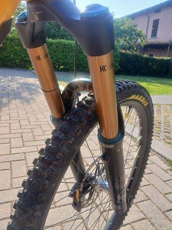 Used Orbea WILD H10 2023 2023 Mountainbike, Orange, 29 — image 7 of 7