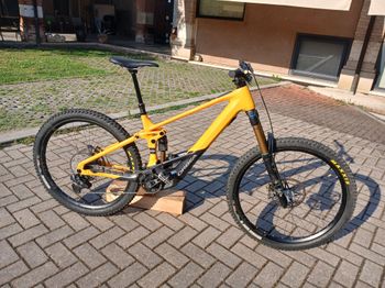 Used Orbea WILD H10 2023 2023 MTB