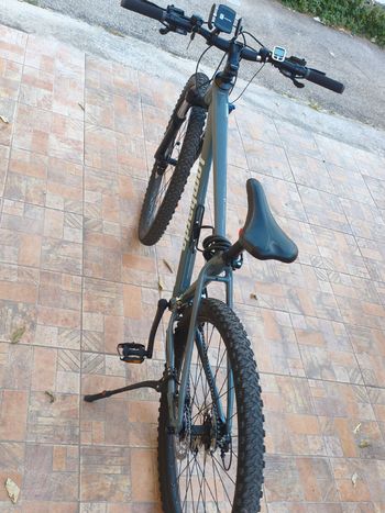 Used LOMBARDO Lombardo Sestriere Shimano Altus 2026 Mountainbike, Light Gray — image 6 of 6