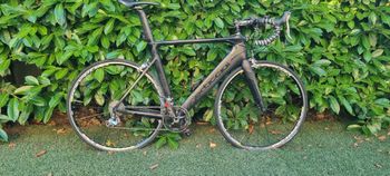 Used Dedacciai Dedacciai Custom Shimano Dura Ace 2018 Road & Gravel