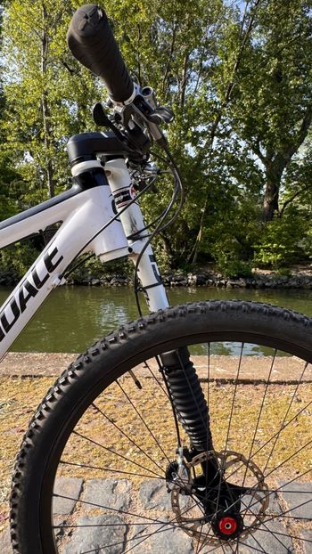 Used Cannondale Flash Shimano Deore XT 2012 Mountainbike, White, 29 — image 3 of 16