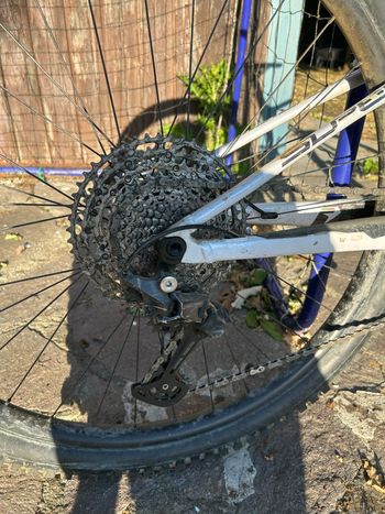 Used Superior XF 919 TR 2024 2024 Mountainbike, White, 29 — image 7 of 12